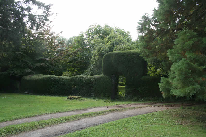 awesome hedgecutting