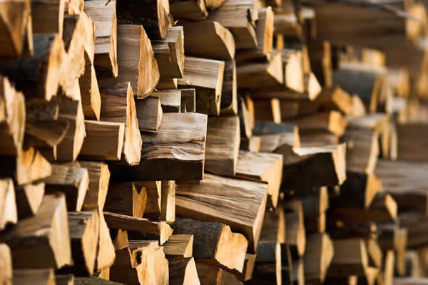 logs stacked